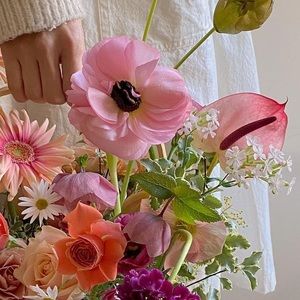 Meet your Posher, Maria